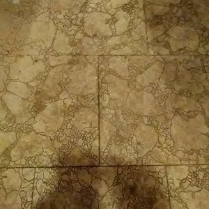 Meet your Posher, Cee