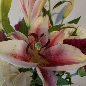 Meet your Posher, April