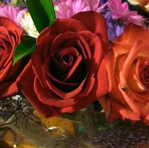 Meet your Posher, Adaneli