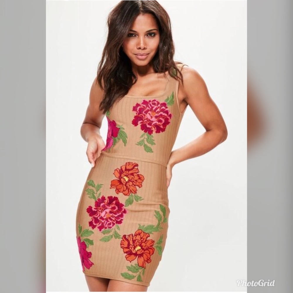 Bodycon embroidered dress