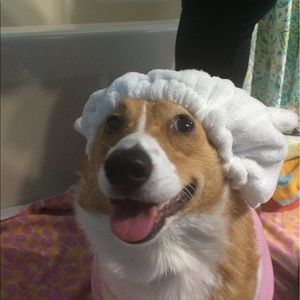 Meet your Posher, Jill