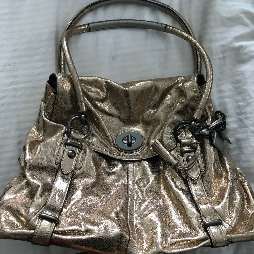 Coach carry all