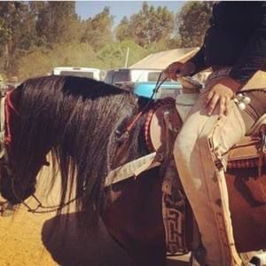 Meet your Posher, Mario osbaldo