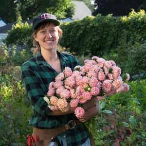 Meet your Posher, Molly