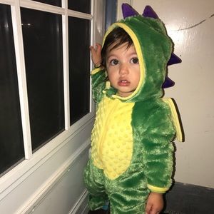 Baby Dragon Costume