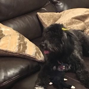 Meet your Posher, Brianna