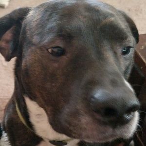 Meet your Posher, Scott