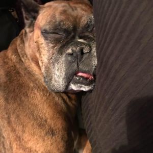 Meet your Posher, Shannel