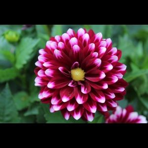 Meet your Posher, Rita