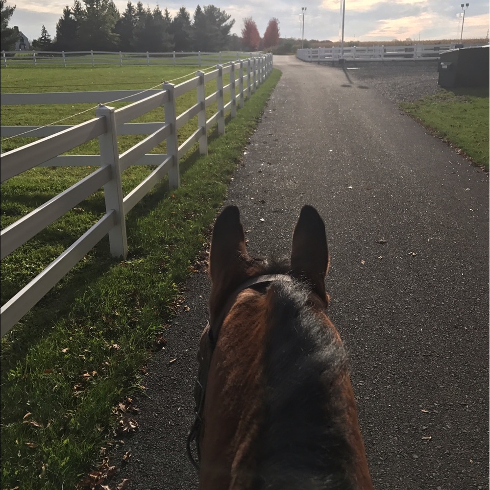 Meet your Posher, Rachel