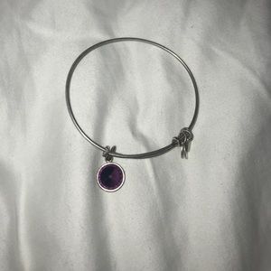 Alex and Ani Amethyst Birthstone bracelet