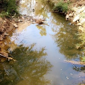 Meet your Posher, Sydney