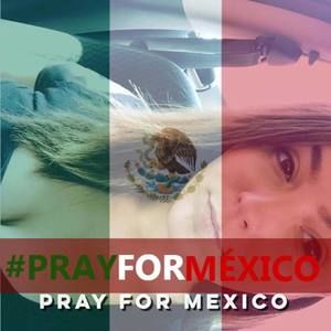 Meet your Posher, Cheyenne