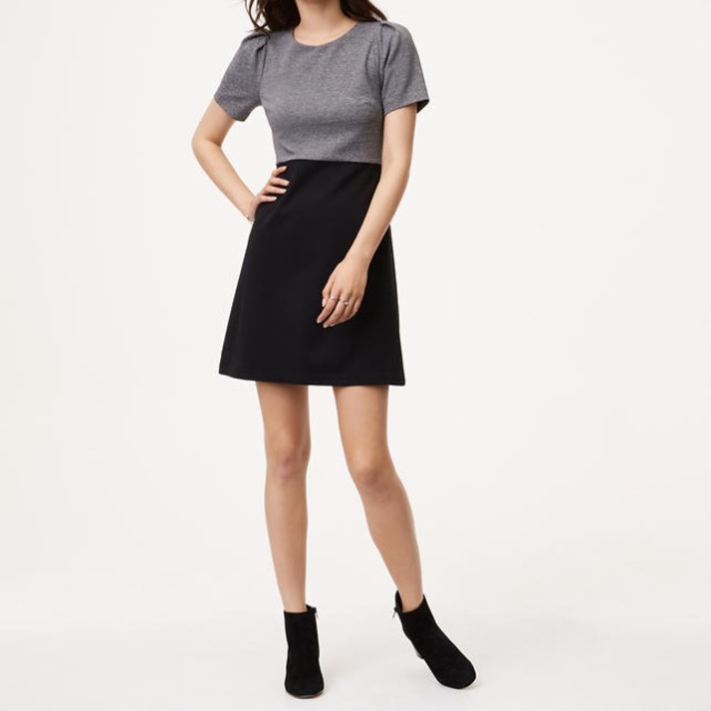 NWT LOFT Black/Gray Dress