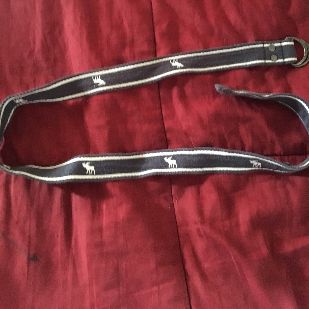 Abercrombie & Fitch belt