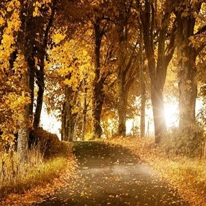 Meet your Posher, Edith