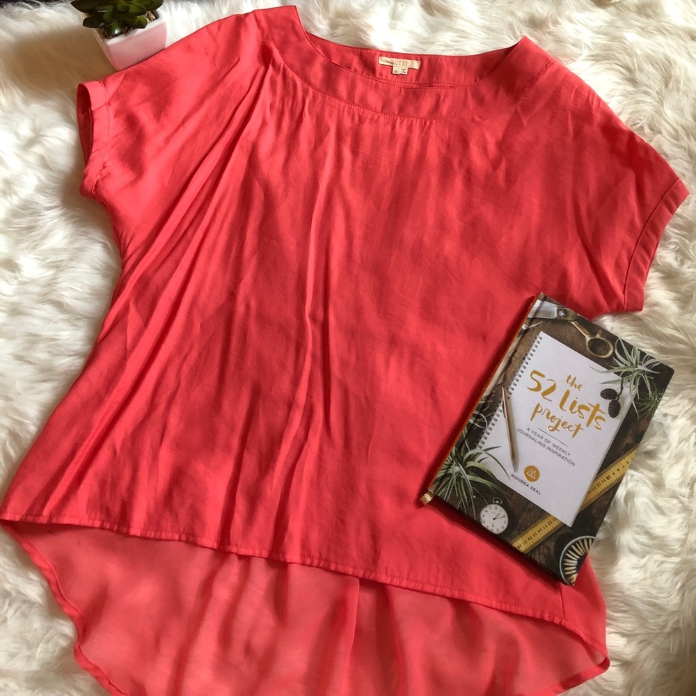 Sheer Back Love Hi-Lo