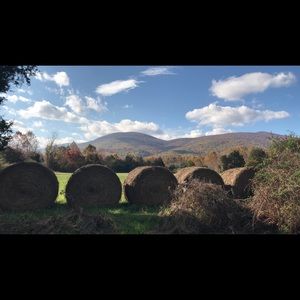 Meet your Posher, Misti