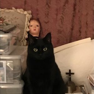 Meet your Posher, Rachel