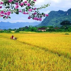 Meet your Posher, Van