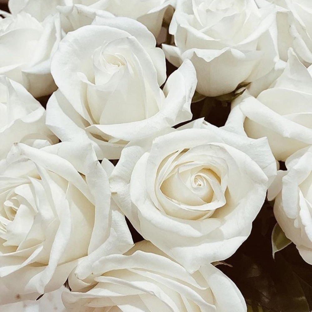 Meet your Posher, Priscila