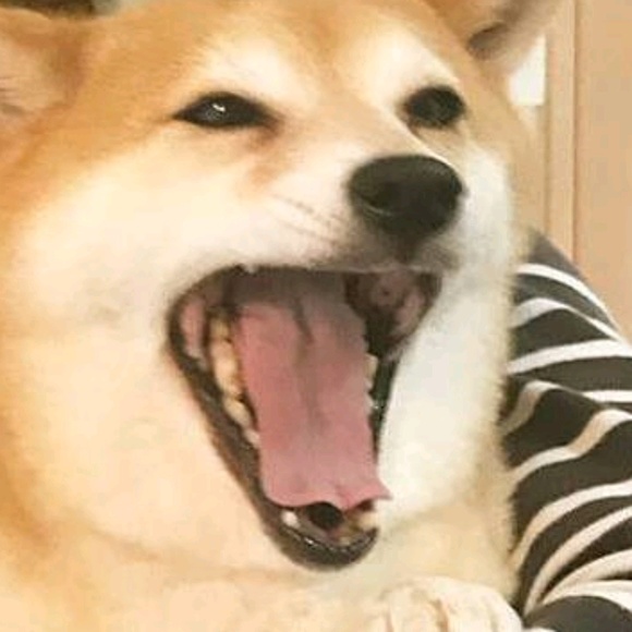 Meet your Posher, Jason - Picture 1 of 1