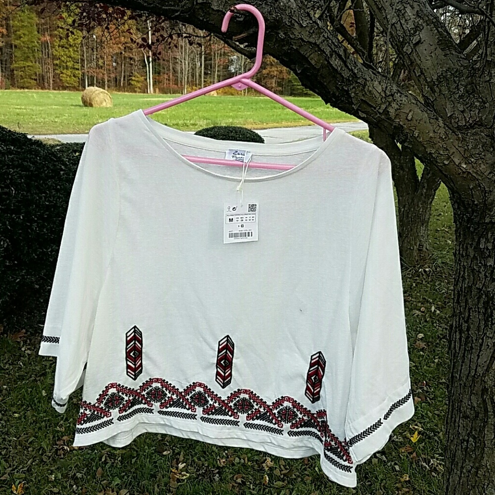 {Zara} Embroidered Shirt