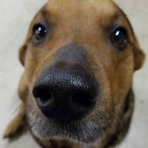 Meet your Posher, Lloyd