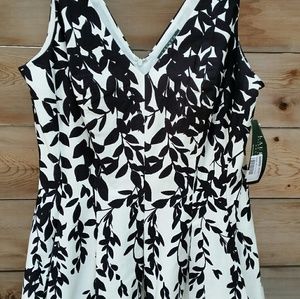 Black & White Fitted A-line Pleated Cotton Dress