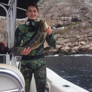 Meet your Posher, Robin