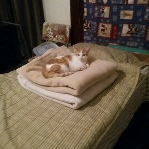 Meet your Posher, Bonnie