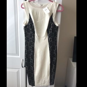 NWT Caché White Dress W/ Black Lace
