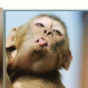 Meet your Posher, Loubna