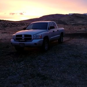 Meet your Posher, Brady