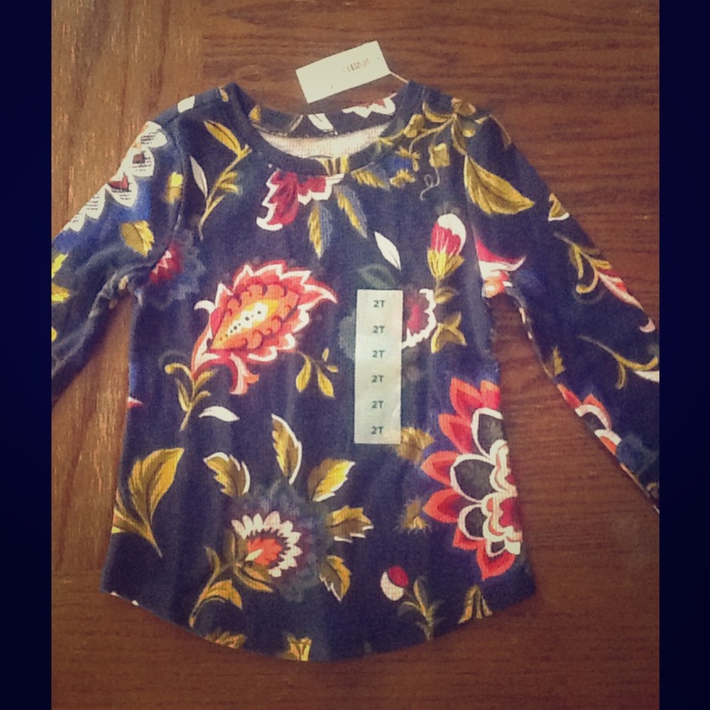 BNWT long sleeve 2T