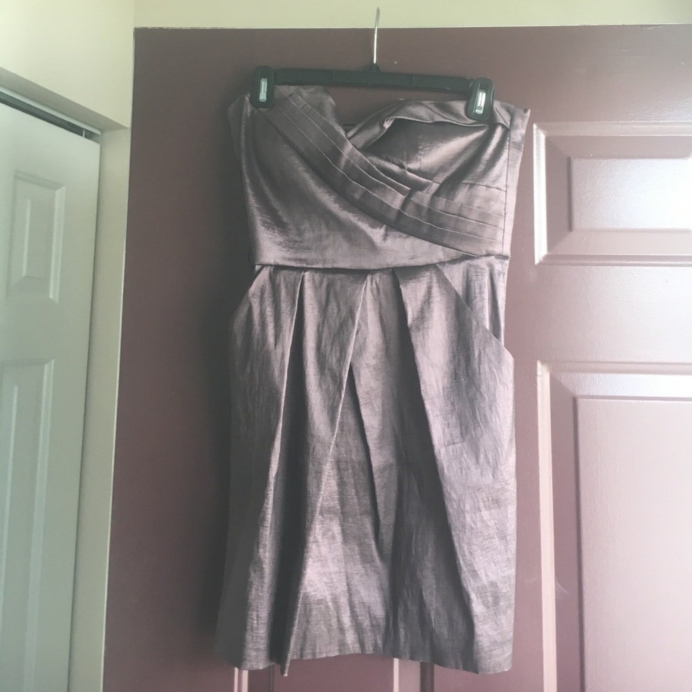 Plum Purple Strapless Maxandcleo Dress