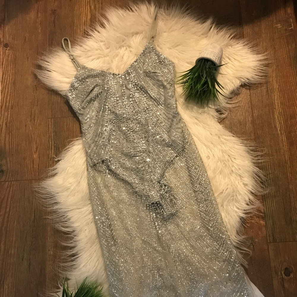 Sparkling Semi Sheer Dress - Picture 4 of 4