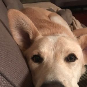 Meet your Posher, Karen