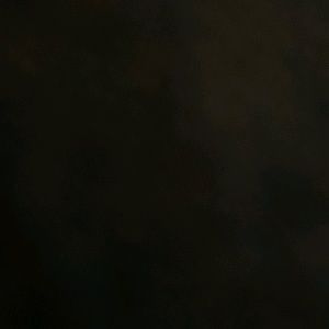 Meet your Posher, Areli