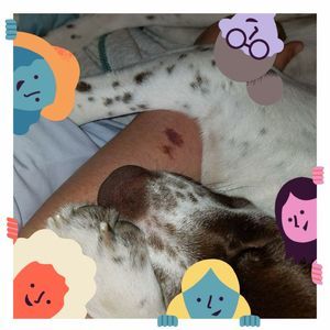 Meet your Posher, Diana