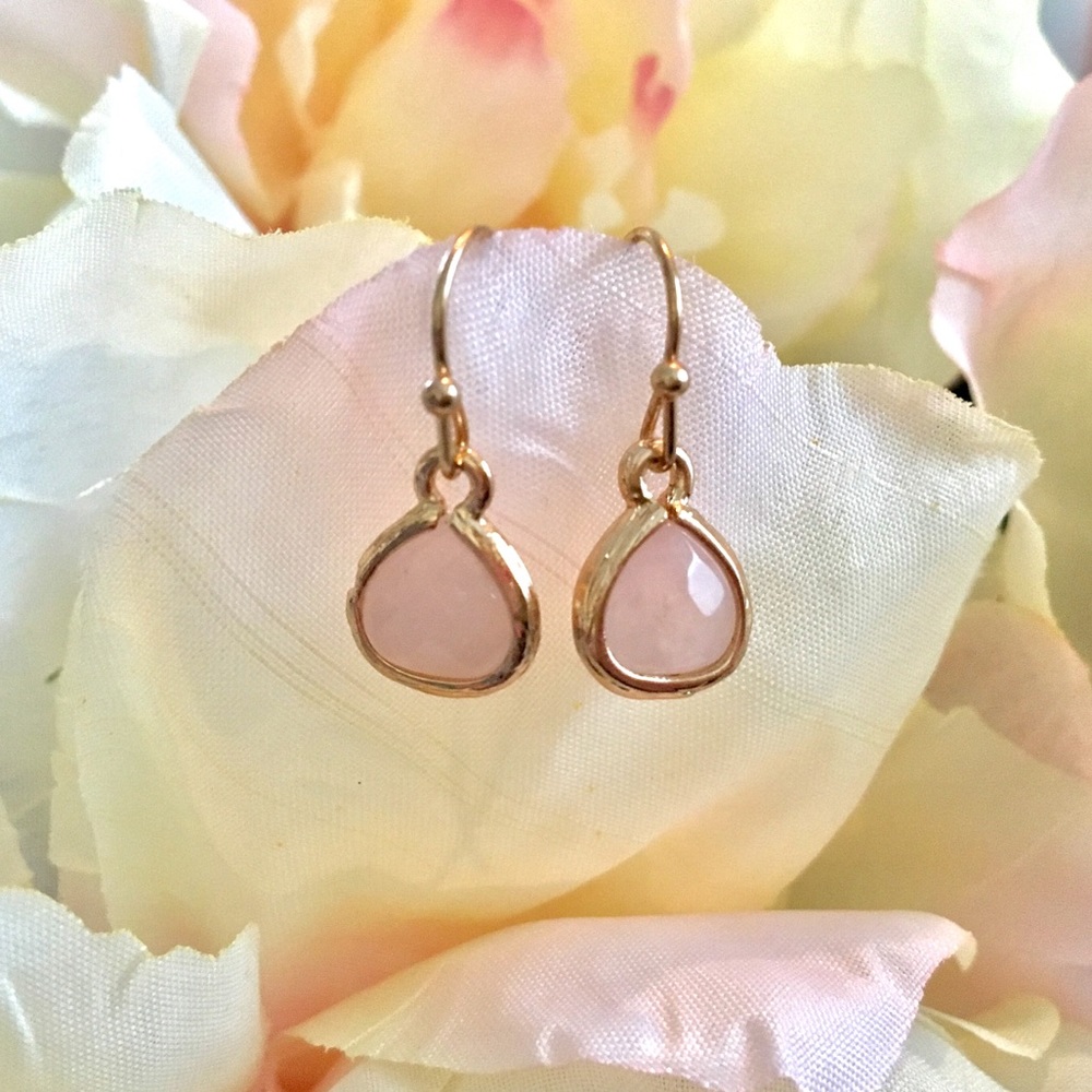 🆕 Light Pink Drop Earrings