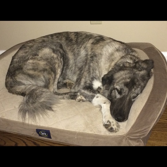 Meet your Posher, Rachel - Picture 2 of 4