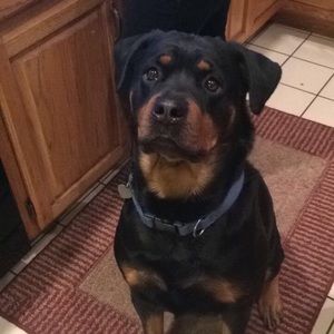 Meet your Posher, John