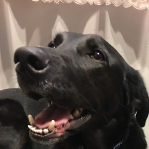 Meet your Posher, Delaney