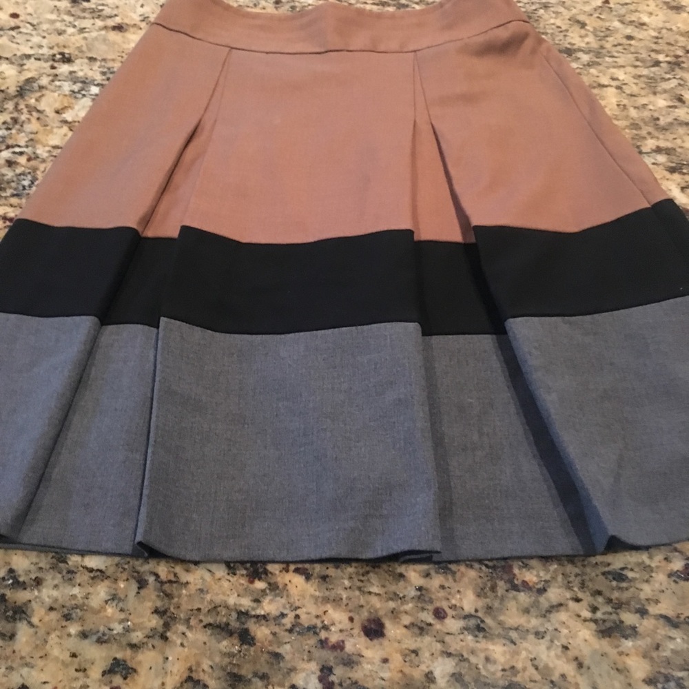 Pleated The Limited Skirt