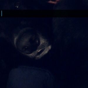 Meet your Posher, Ian