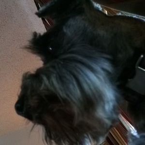 Meet your Posher, Maritza