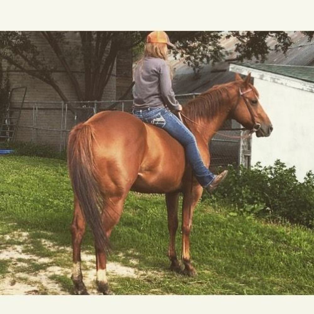 Meet your Posher, Maia