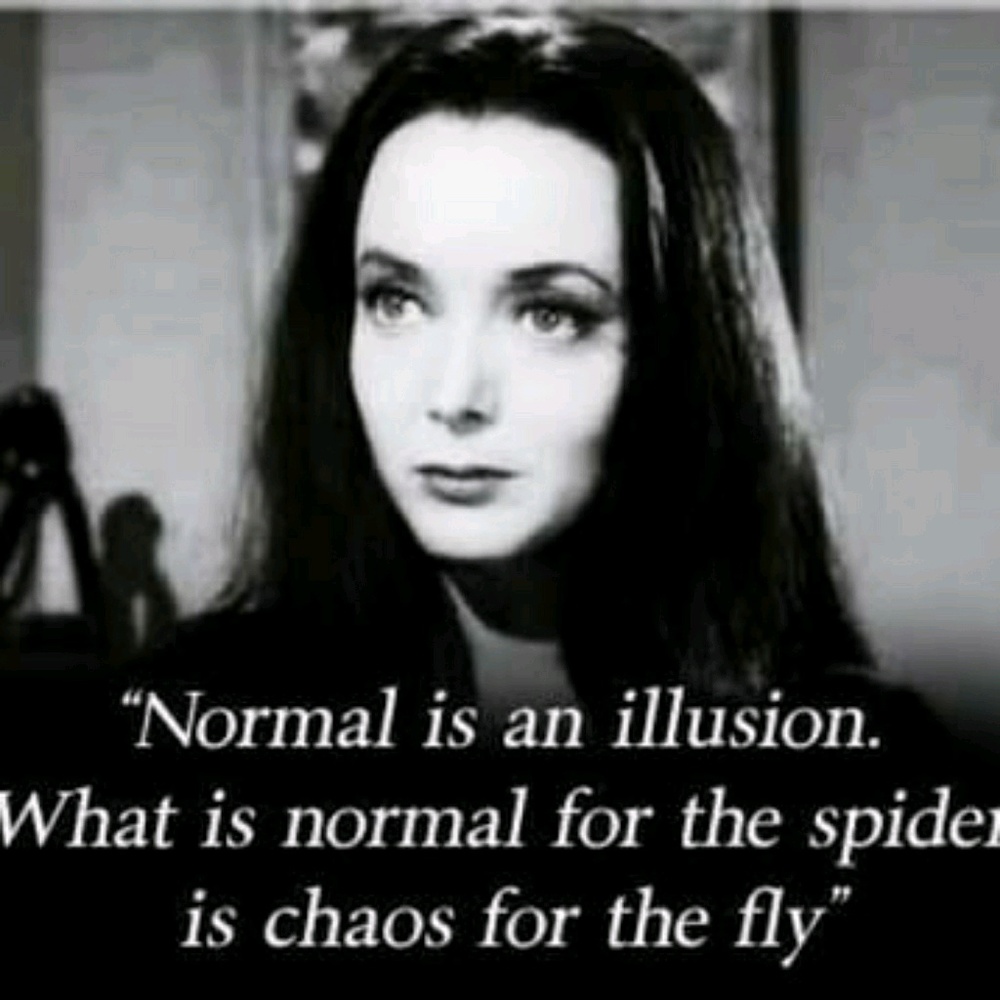 Meet your Posher, Cheyenne