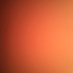 Meet your Posher, Janelle